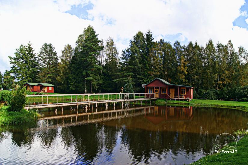 Banquet hall, sauna and holiday houses for rent in Plungė district in a homestead Stream of calmness - 17