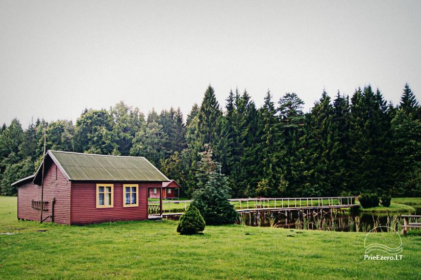 Banquet hall, sauna and holiday houses for rent in Plungė district in a homestead Stream of calmness - 14