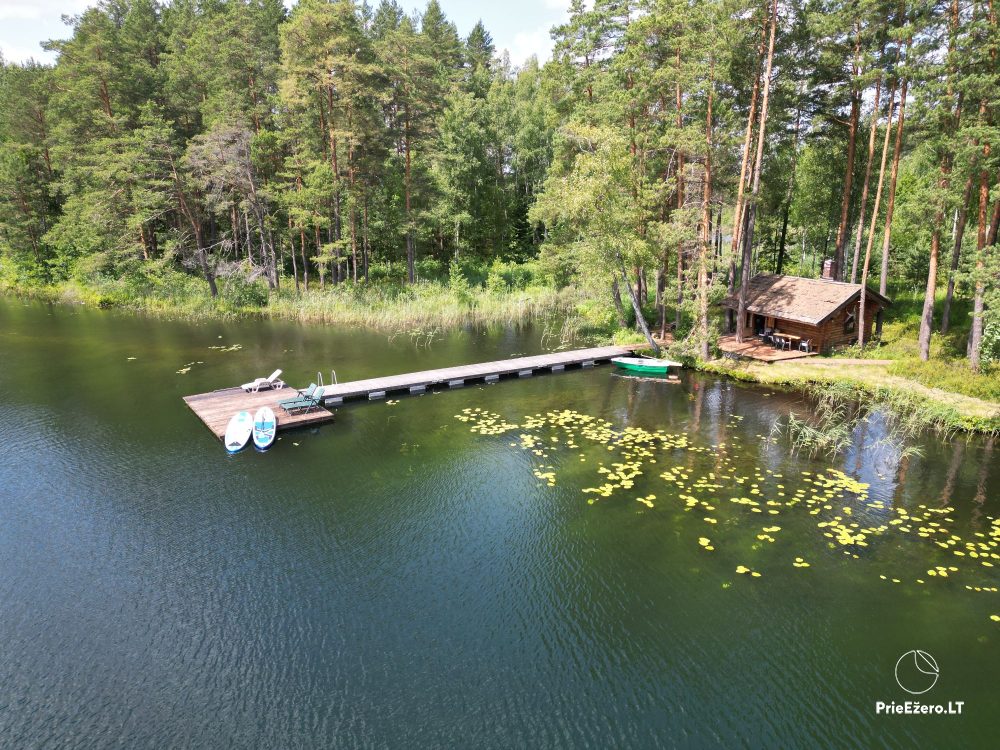 Homestead by the lake Zalvas in Zarasai area - 1