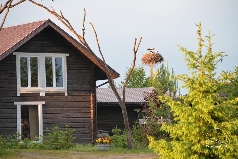 Homestead Kliukai in Moletai district – family holiday cottages - 4