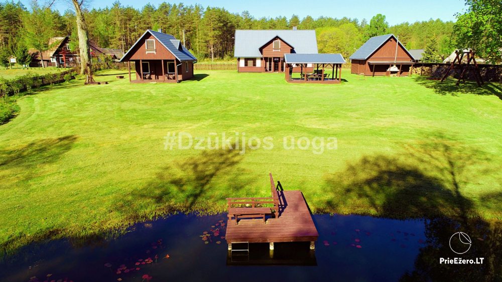Landhaus Dzukijos uoga in der Nähe von Druskininkai - 1