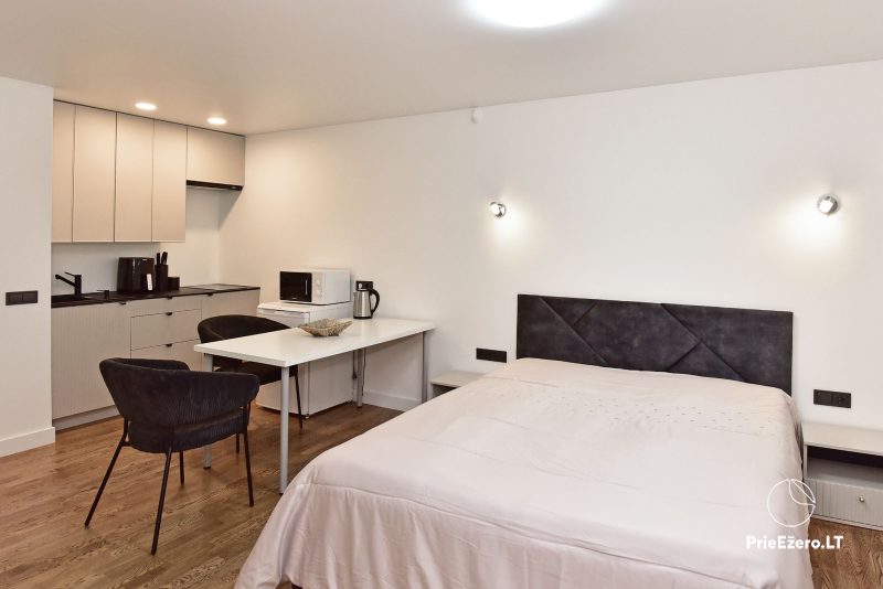 Апартаменты и квартира в аренду в Друскининкае – «Шилас»