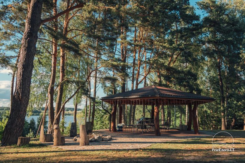 Radviliu sodyba in Anyksciai area, by the lake - 1