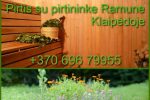 Kąpiel w Kłajpedzie