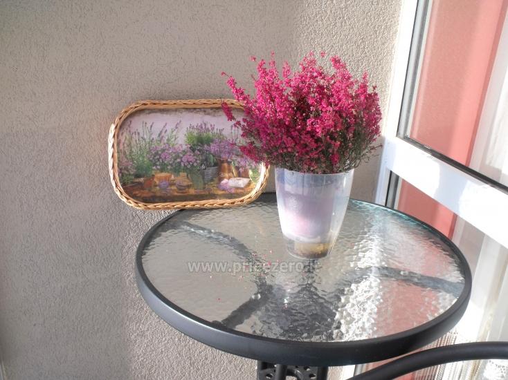 Apartment in Druskininkai by the lake and river