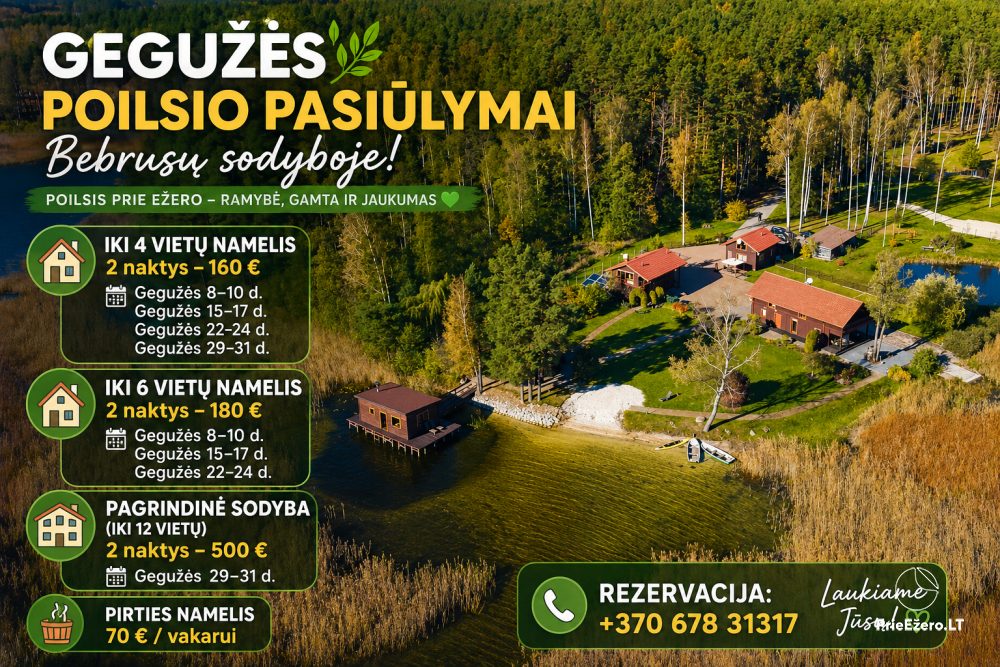 Holiday houses for rent in Moletai area - 1