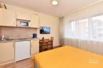 Ein Zimmer-Wohnung zur Miete in Zentrum von Druskininkai