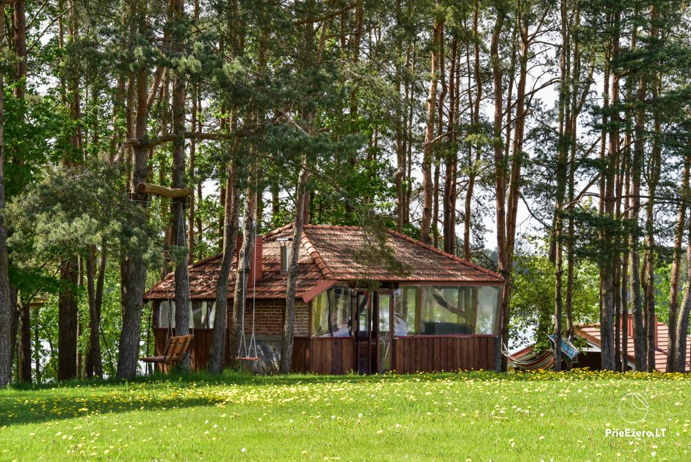 Homestead At elephant's: rooms, hall for 30 pers., sauna, kayaks - 19
