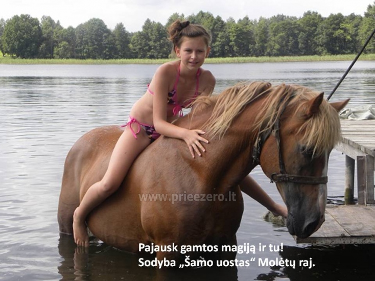 Wieś zagroda dla złagodzenia i uroczystości w Moletai - 1