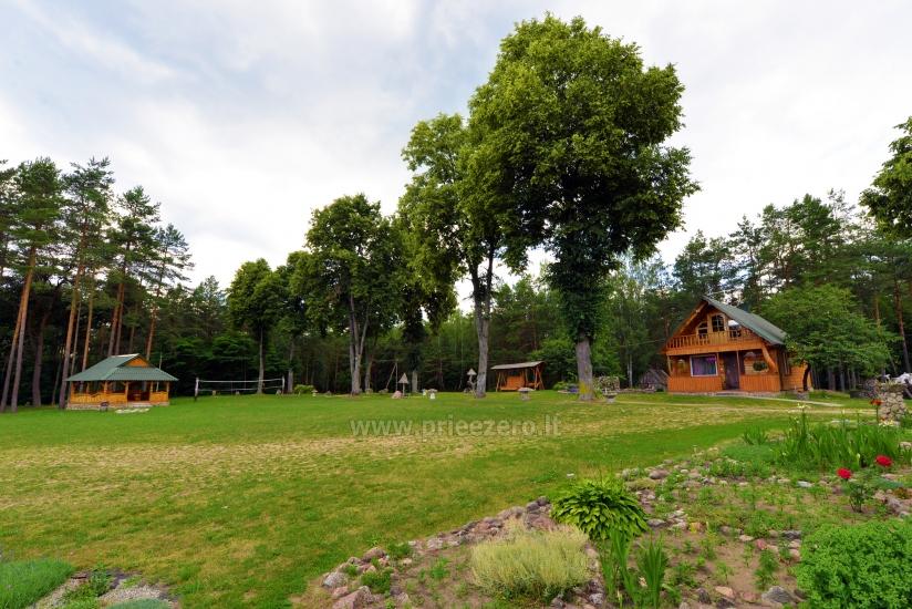 Countryside homestead Vainiūnai in Lazdijai region, Lithuania - 48