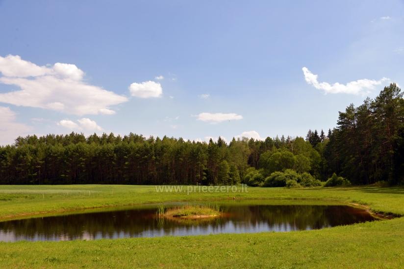 Countryside homestead Vainiūnai in Lazdijai region, Lithuania - 55