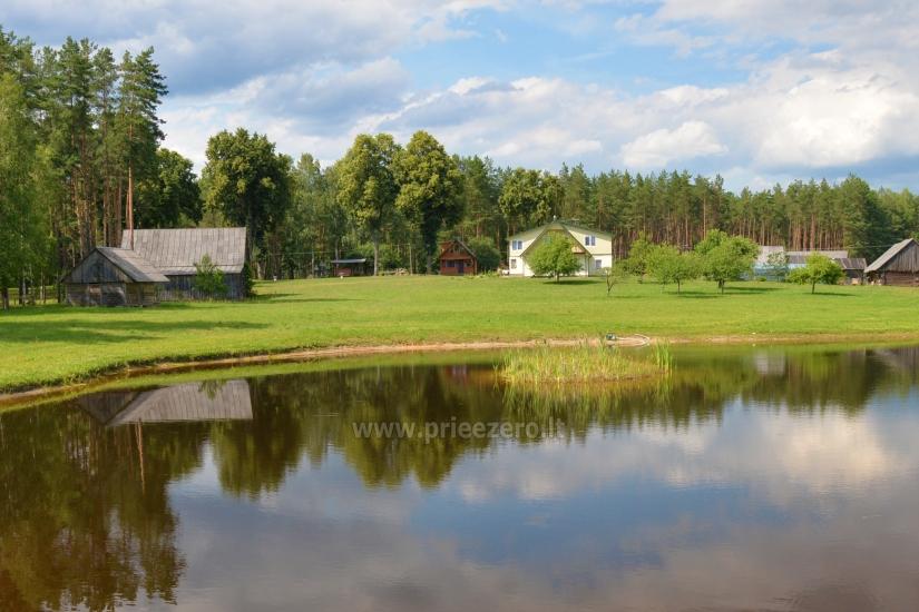 Сельская усадьба Vainiūnai в Лаздияйском регионе, Литва - 51