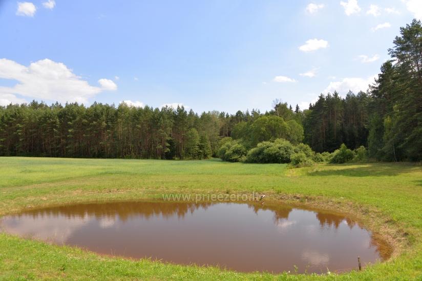 Сельская усадьба Vainiūnai в Лаздияйском регионе, Литва - 57