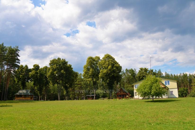 Countryside homestead Vainiūnai in Lazdijai region, Lithuania - 54