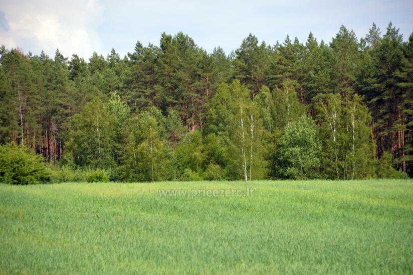 Сельская усадьба Vainiūnai в Лаздияйском регионе, Литва - 58