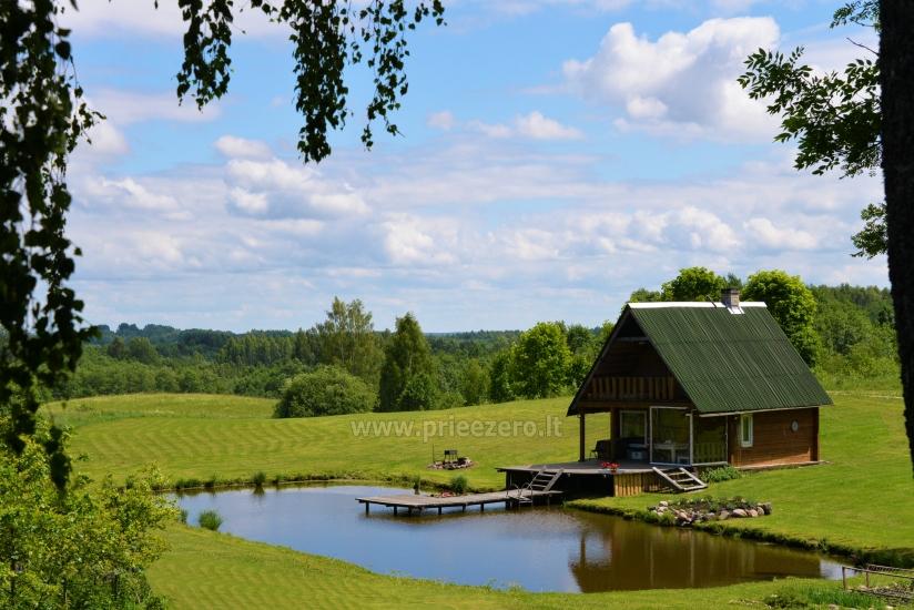 Countryside homestead Beržų giraitė in Ignalina district - 1