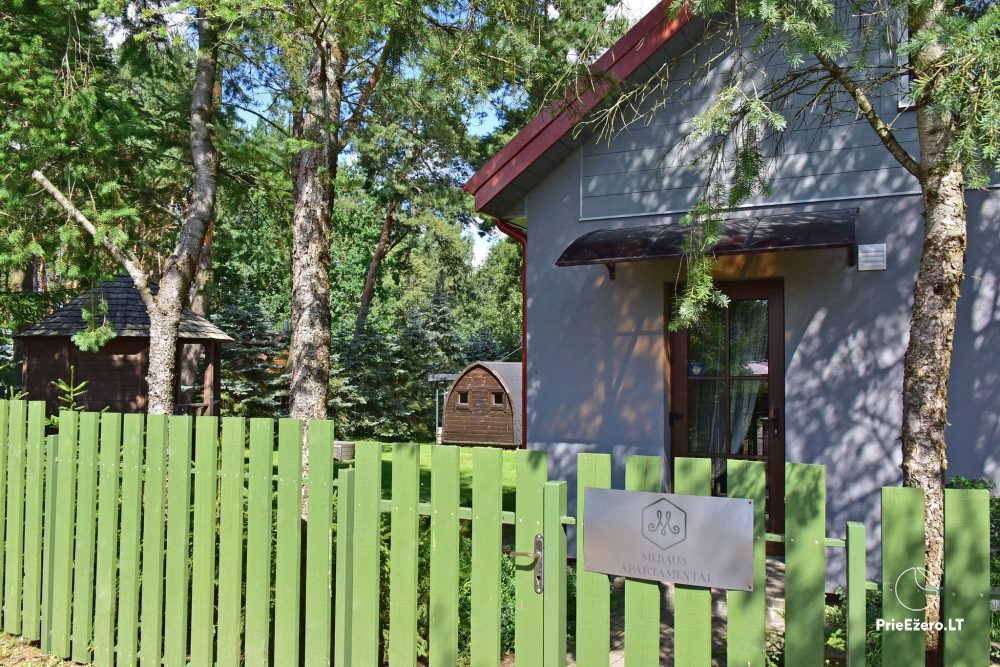 HONEY APARTMENT WITH SAUNA for TWO at the lake near Trakai - 1