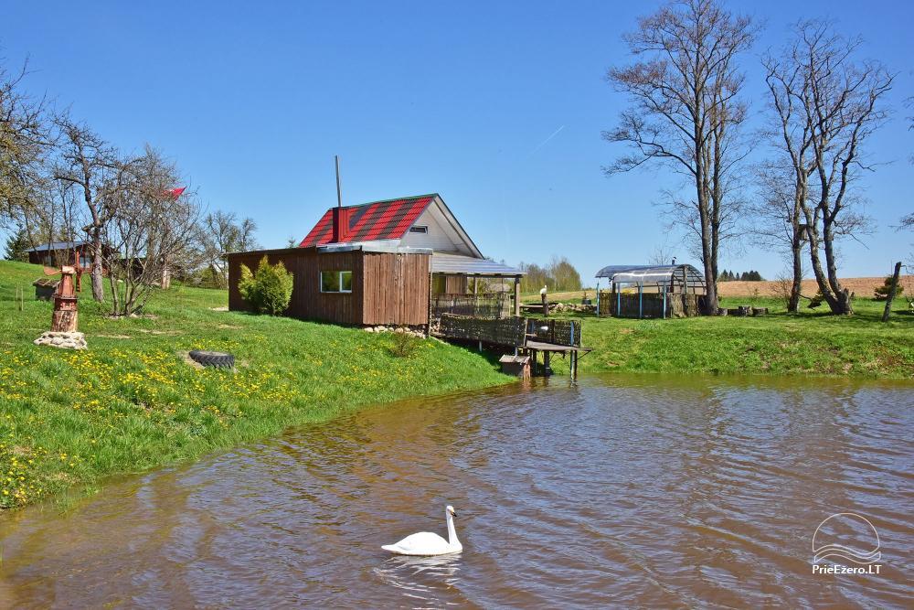Countryside homestead Stasiuko sodyba in Trakai district - 35