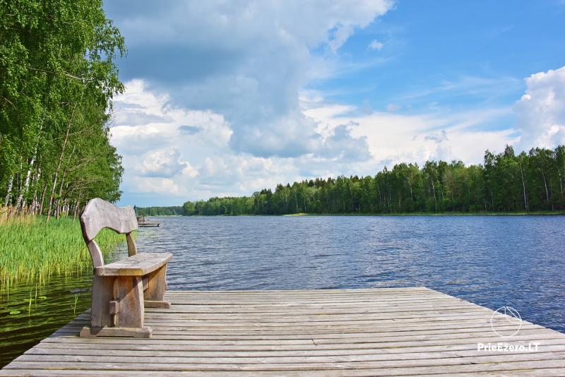 Countryside homestead on the lake shore Villa Jurate