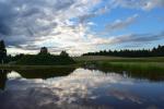 Homestead Back to the nature in a regional park in Lithuania - 4