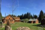 Countryside homestead surrounded by woods Forest homestead