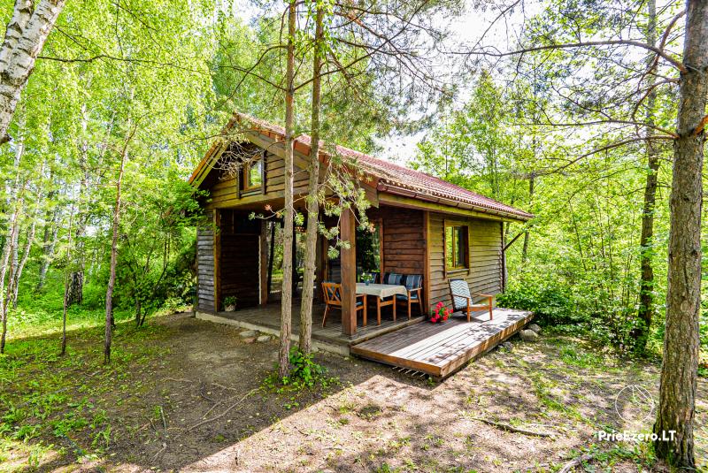 Gemütliche abgelegene Hütte am See Šlavantėlis