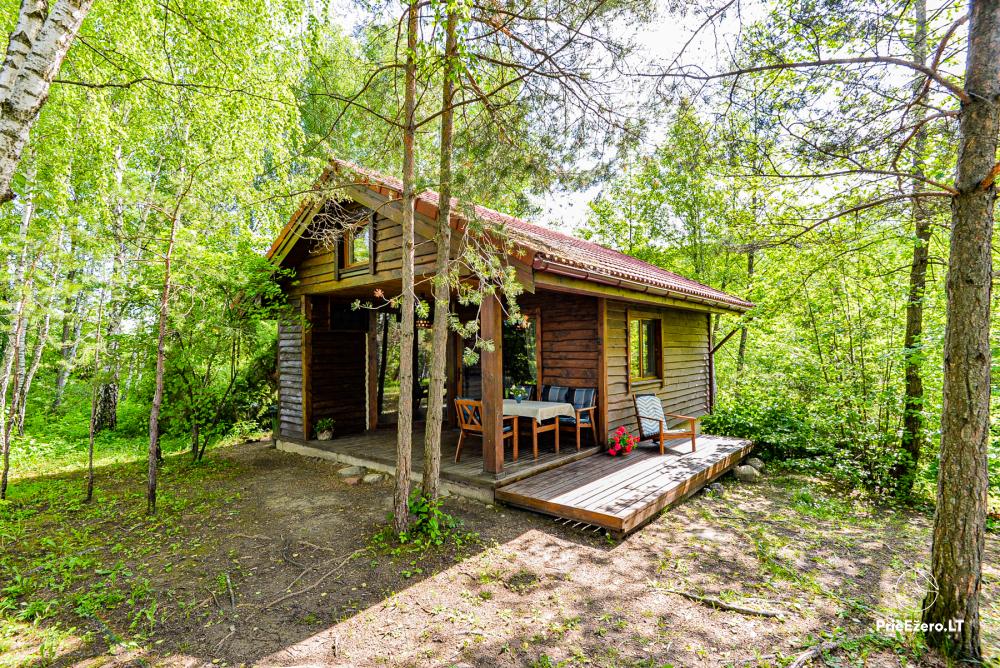 Cozy remote cabin  in the nature  for quiet private rest on Šlavantėlis lakeshore ( 2-4 persons). - 1