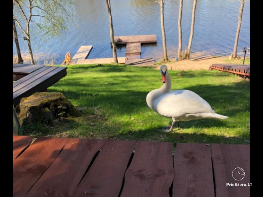 Усадьба у озера Илгис в районе Молетай, Литва - 72