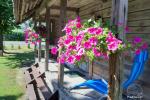 Little holiday house for rent near the lake Baluoshas in Lithuania