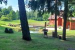 Countryside homestead in Alytus region Under the oak in Lithuania - 5