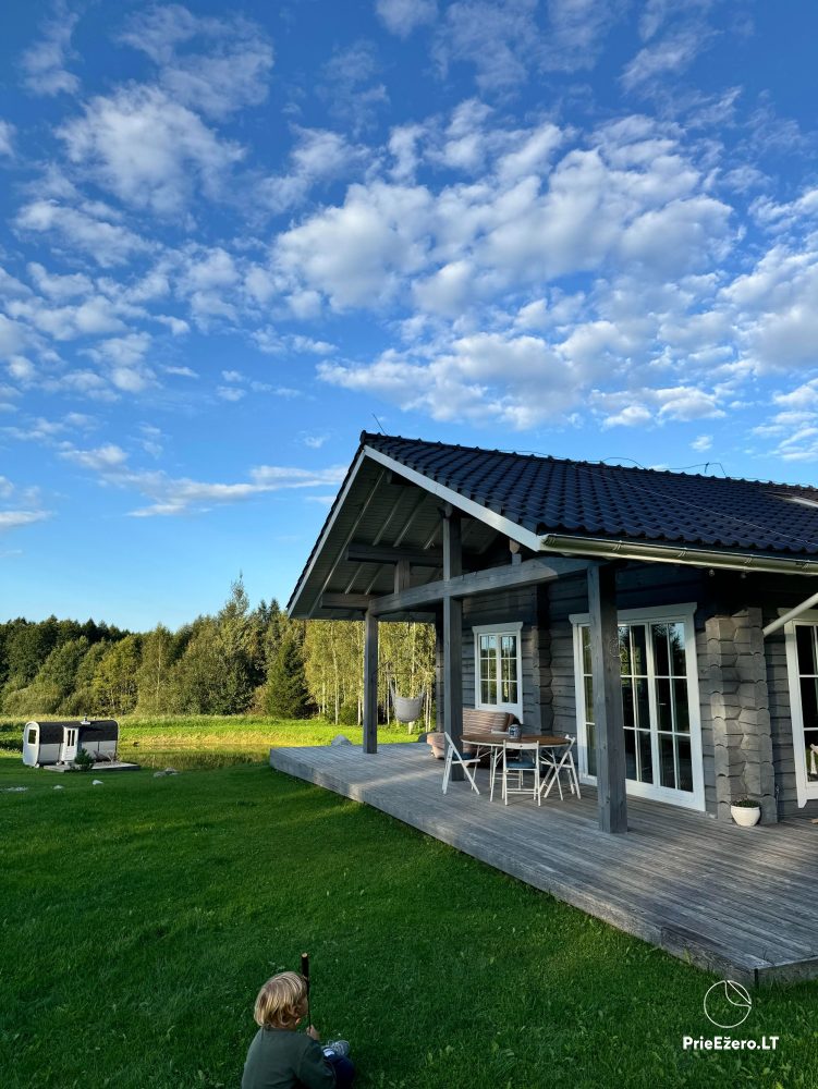 Raspberry villa - newly built house in the nature, near the forest - 1