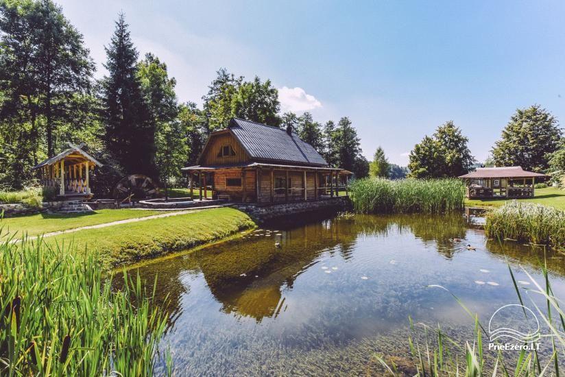 Homestead in Trakai region at the lake Ungurys Prie krioklio - 15