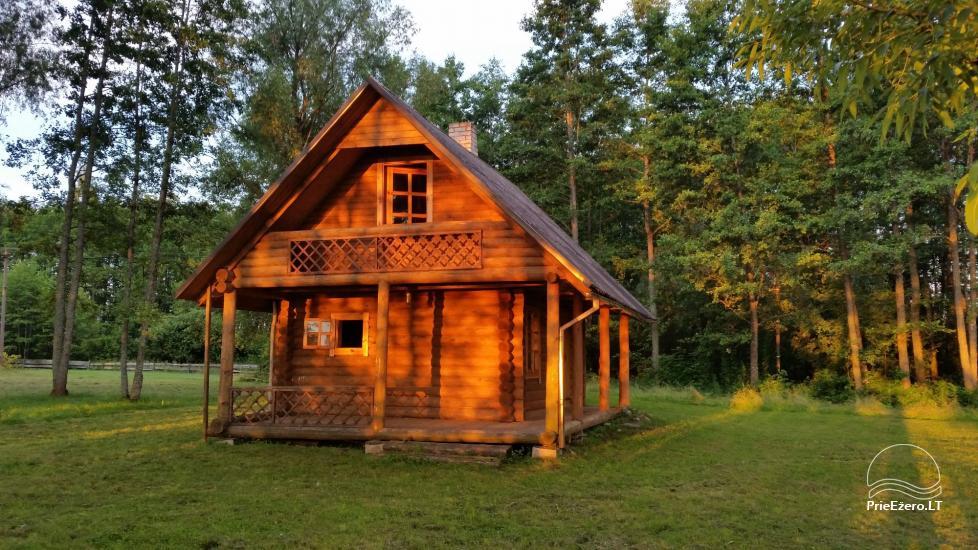 Countryside homestead Vazajaus on the lakeshore - 1