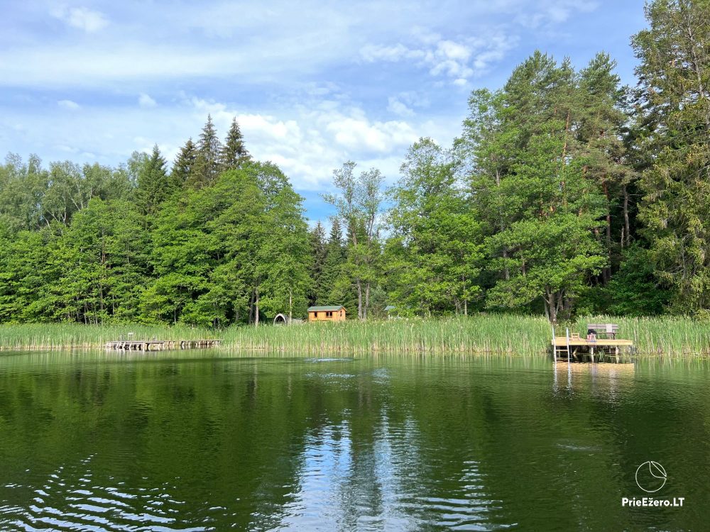 Campsite for rest near Zeimenis in Lithuania - 1