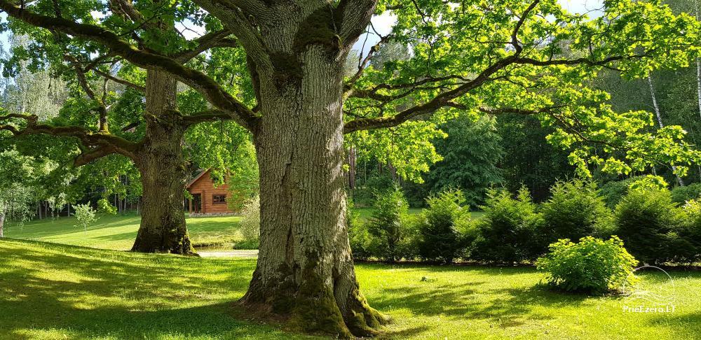 Oaks of Aisetas - a countryside homestead near the lake Aisetas in Lithuania - 1