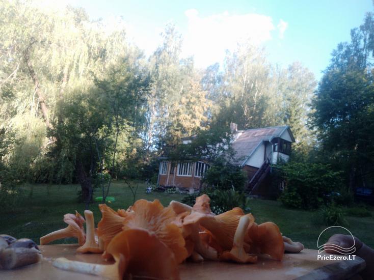 Сельская усадьба и баня на берегу озера