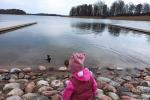 Apartments for rent on the shore in Trakai