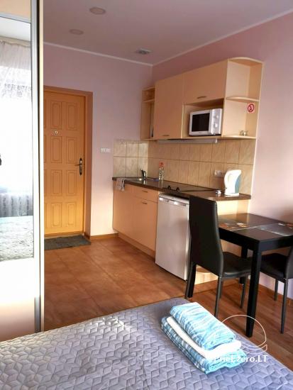 Cozy apartment in the center of Druskininkai - 5