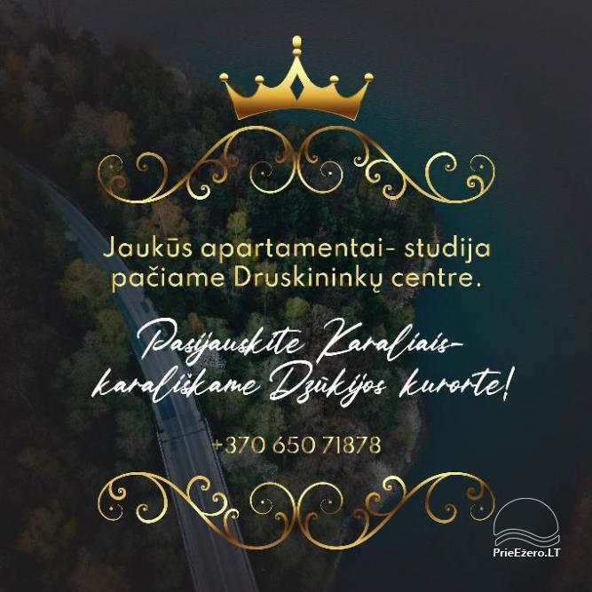Gemütliche Wohnung im Zentrum von Druskininkai - 13