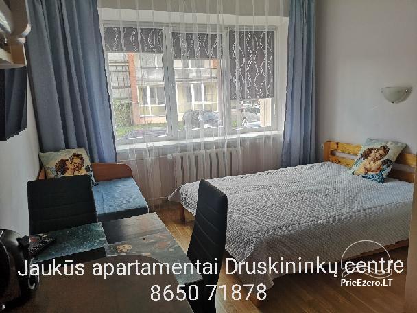 Cozy apartment in the center of Druskininkai - 14