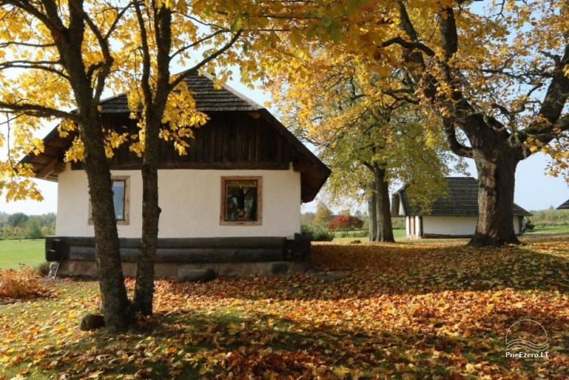 Gospodarstwo w rejonie Ignalina nad brzegiem stawu „Ažvinčių sodyba”