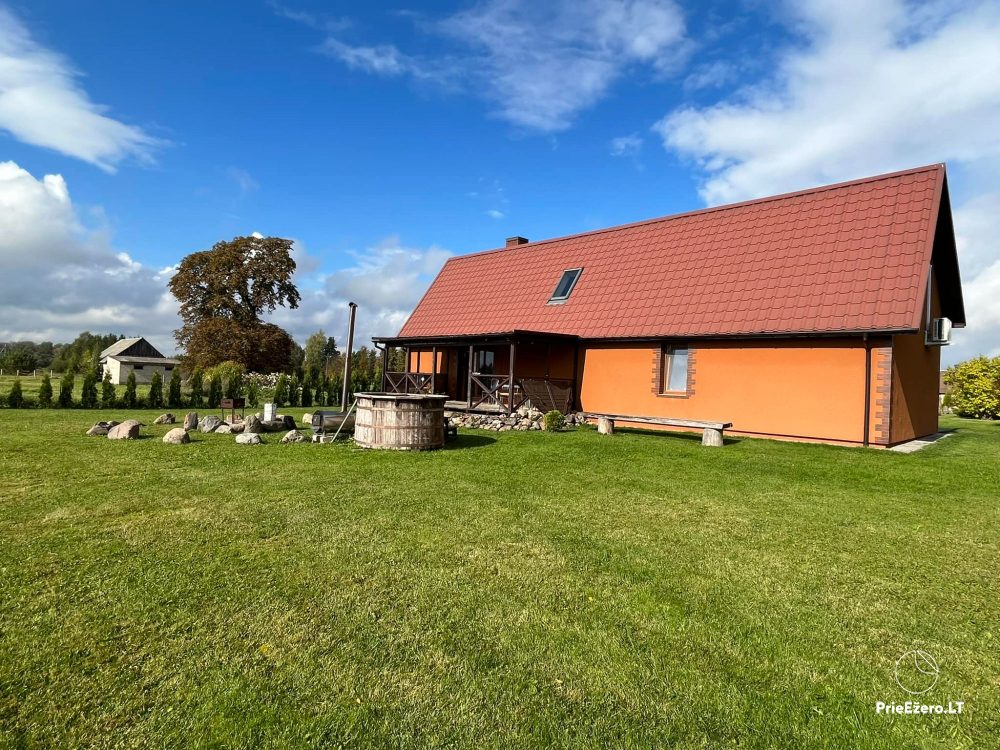 Cats' homestead in Panevezys region - 1