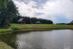 Homestead by the pond in Alytus district Punia - 3