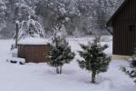 Pundelishkiu homestead for rent in Lithuania