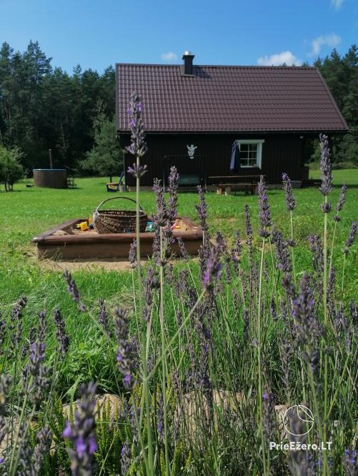 Pundelishkiu homestead for rent in Lithuania - 11