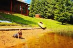 Amber homestead in the forests of Kazlų Rūda on the shore - 5