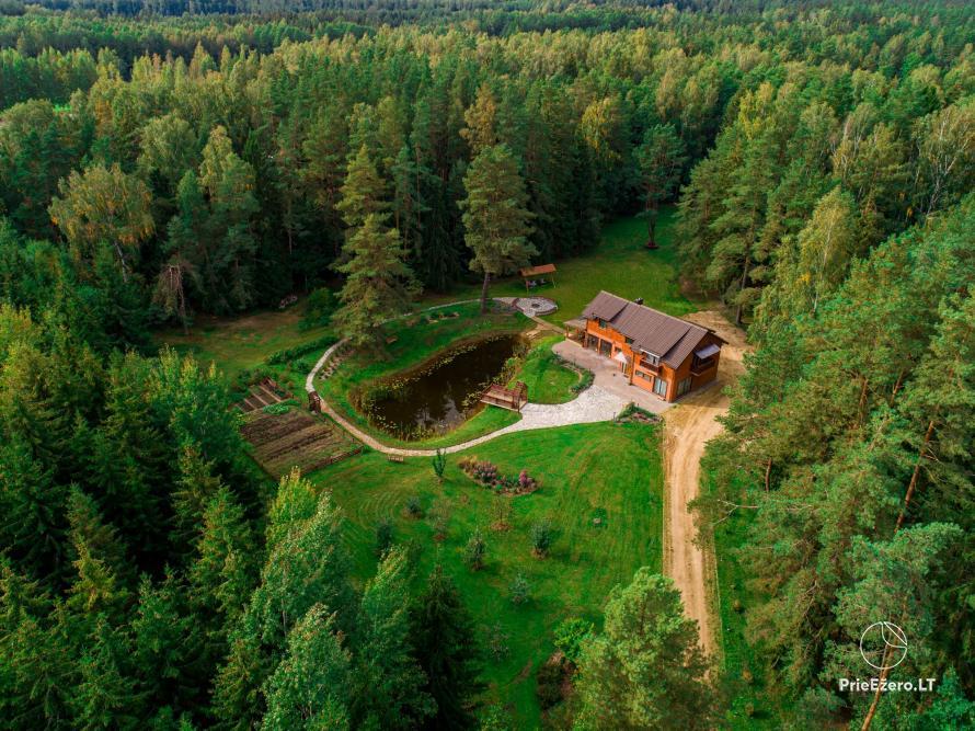 Villa Medėja - a cozy place to celebrate and relax surrounded by forest - 2