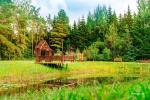 Villa Medėja - a cozy place to celebrate and relax surrounded by forest - 9