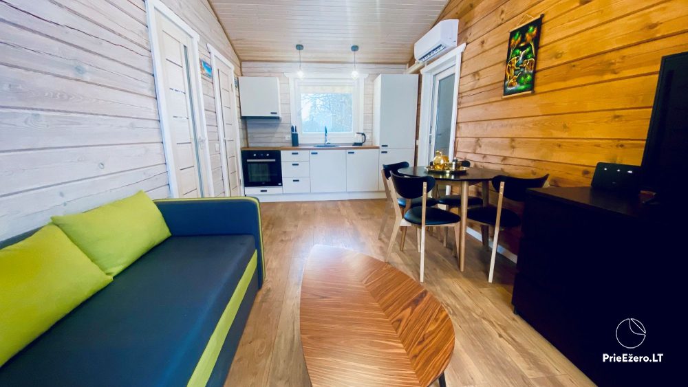 LAKE HOUSE - Apartments and holiday house for rent in Anyksciai - 1