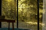 Forest therapy - a place for a private, comfortable, cozy rest in nature - 2